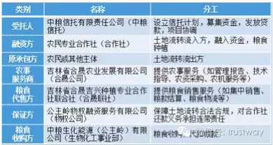 农村合作社_合作社其他收入明细(2)